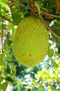 决胜21点 21 相关产品