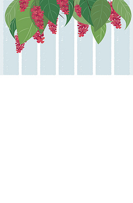 坏小子 推荐产品