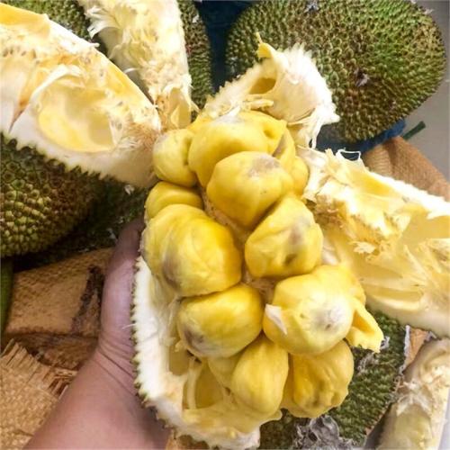 回到过去未成年 相关产品