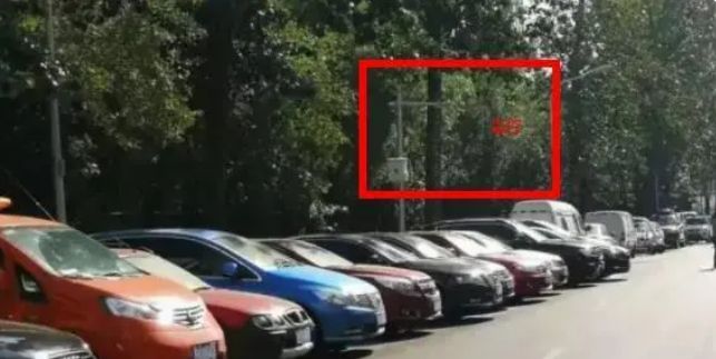 命运疾走中 产品图片