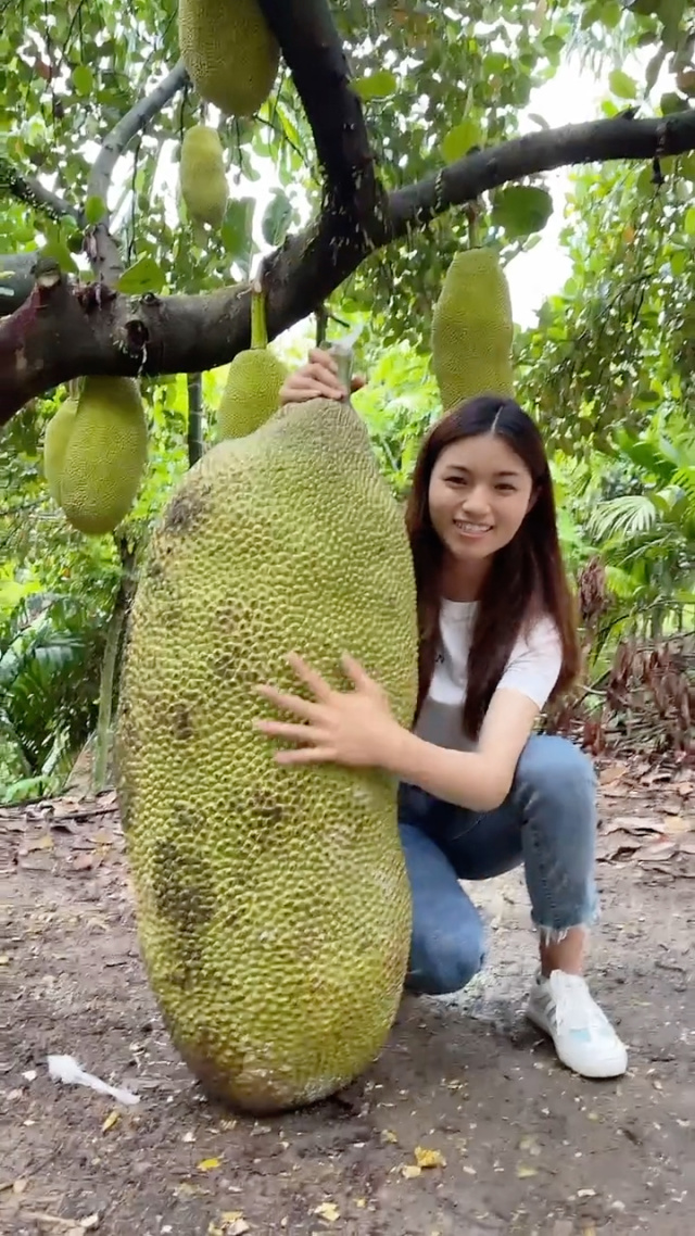 倒数救援战 相关产品