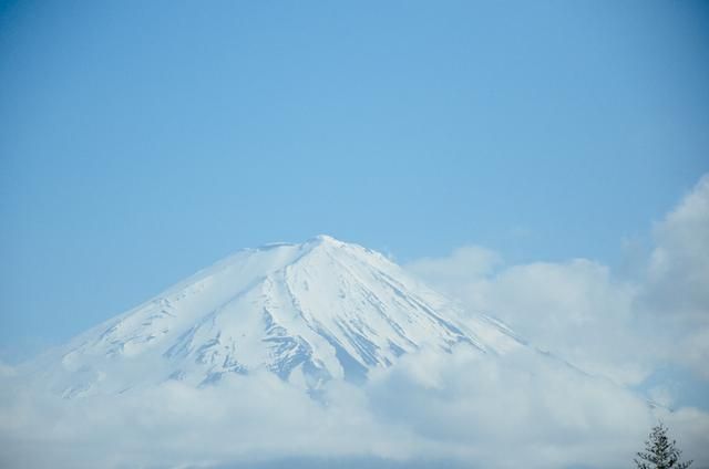 凯特的外遇日记 产品图片
