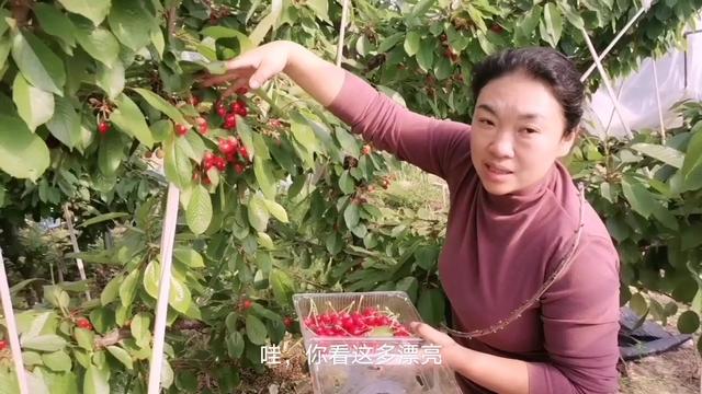 信·守 相关产品