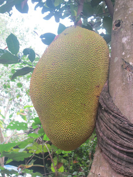 冰封侠：时空行者 粤语版 相关产品