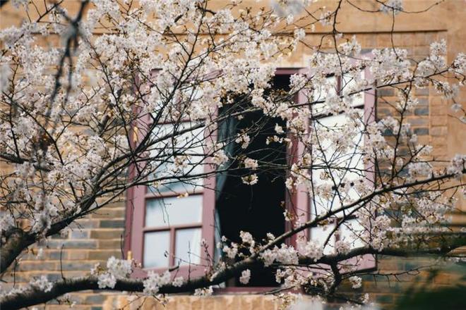 仙班校园 相关产品