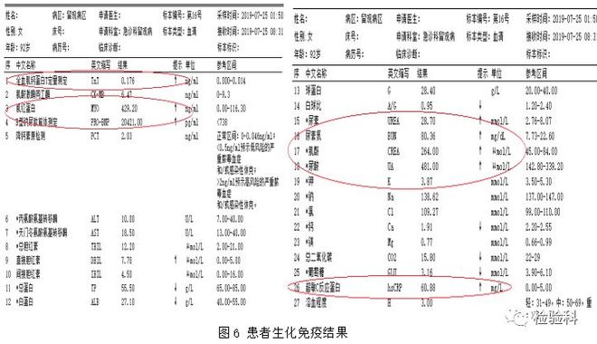 假死寻凶 相关产品