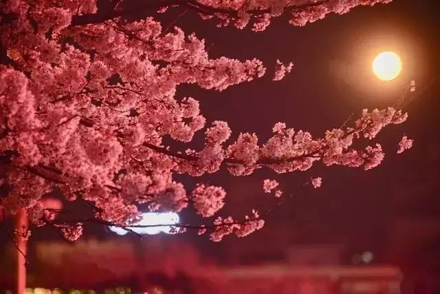 你爱我吗？ 相关产品