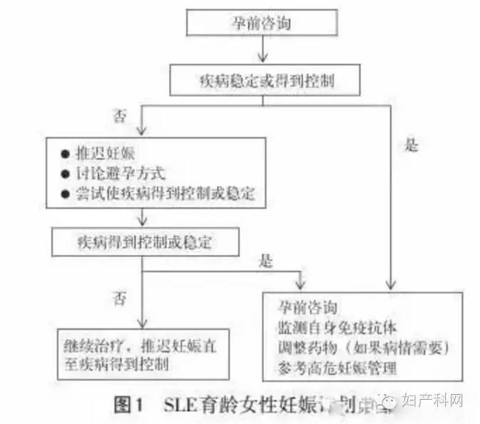 伊丽莎白 相关产品
