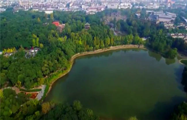 僵尸之路 产品图片