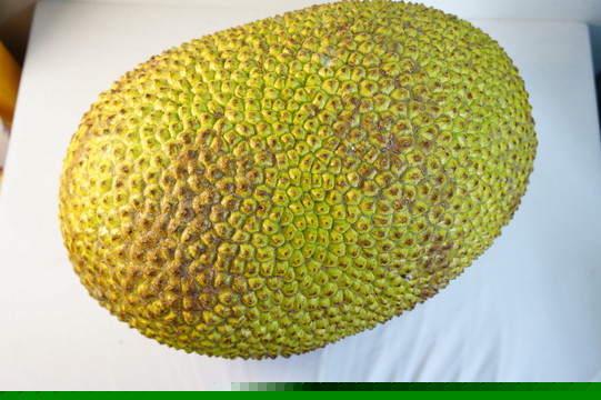 伯纳黛特你去了哪 相关产品