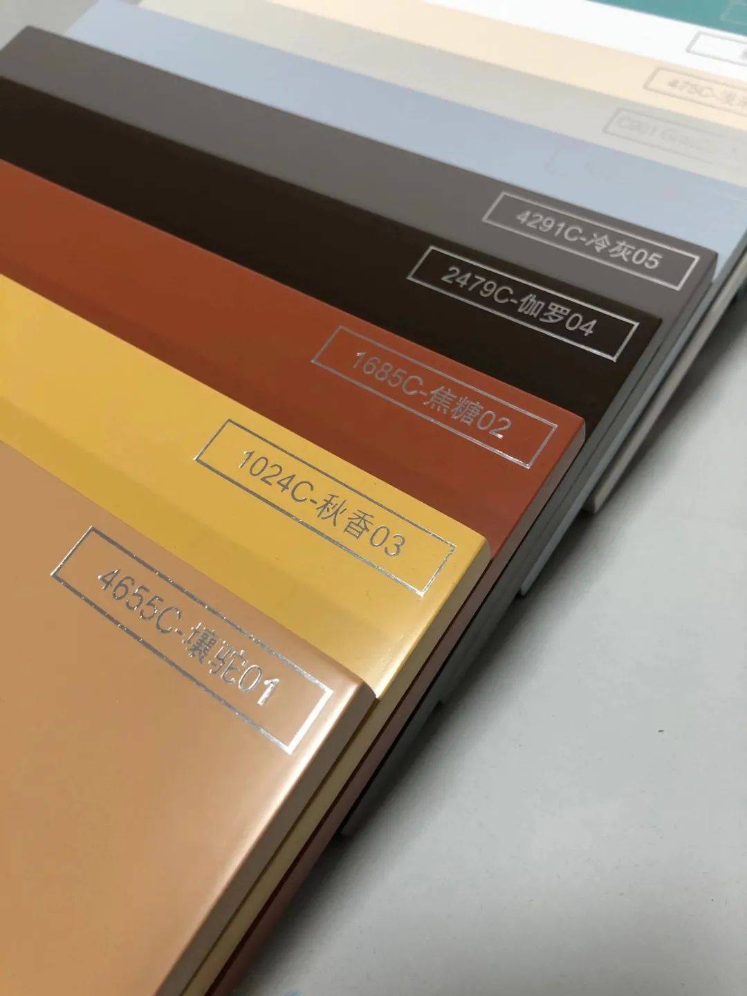 充气女友进化论 产品图片