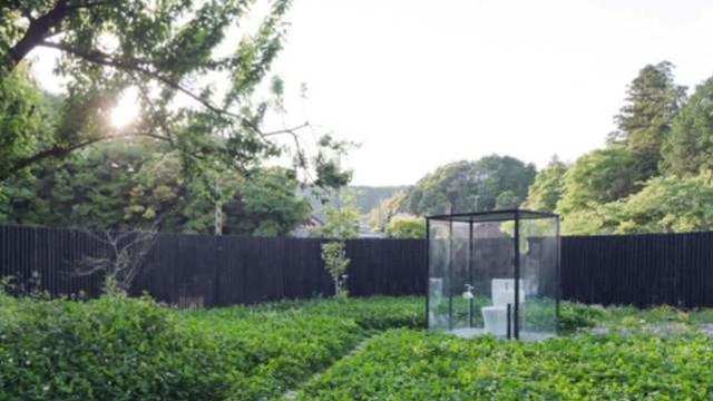 假偶天成 电影版 产品主图