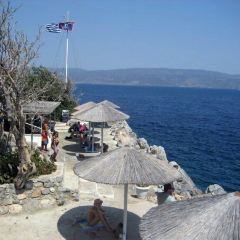 伊甸园计划 相关产品