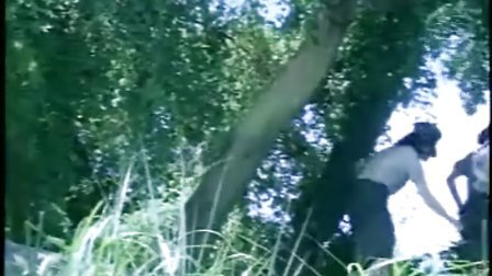 僵尸高校3 产品图片