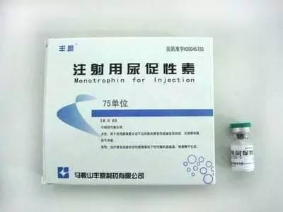 凤凰城等着你 相关产品