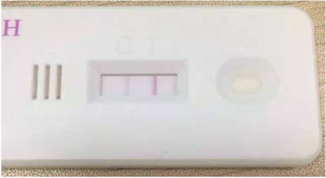 吸血网站 相关产品
