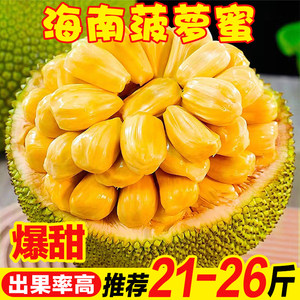 凋零在春天 相关产品