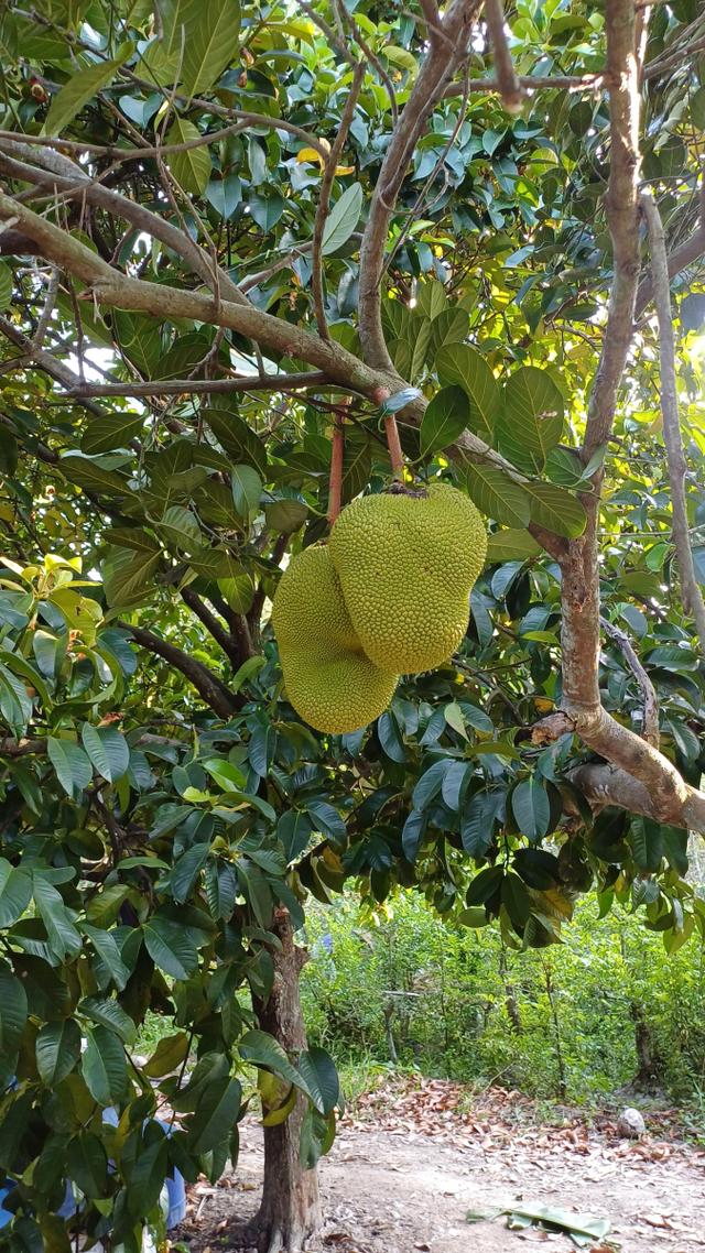 你爱我吗？ 相关产品