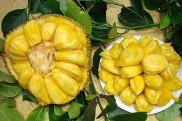 吸血网站 相关产品