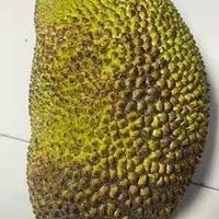 冬天没有童话 相关产品