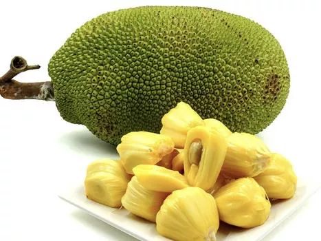 哈桑·明哈杰：返校之王 产品图片