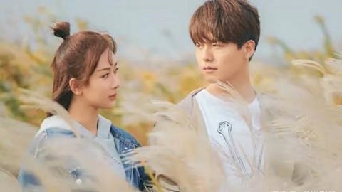 似人非人 相关产品