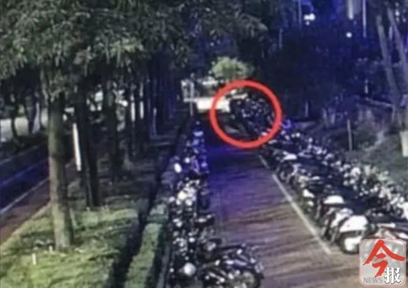 侠僧探案传奇之洛阳花会 相关产品