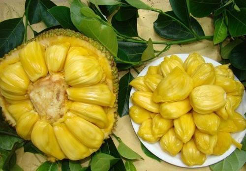 决战千王 产品图片