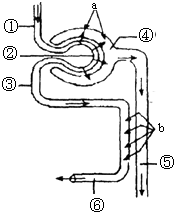 传世乐章 相关产品
