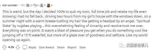 土豆的美国梦 产品图片