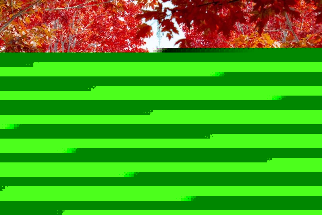 伊伦嘉：诱惑的艺术 相关产品