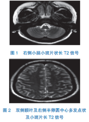 伊甸园计划 相关产品