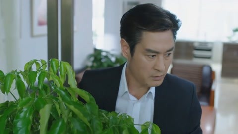 保镖2011 推荐产品