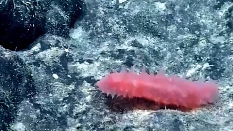 你想要的一切 推荐产品