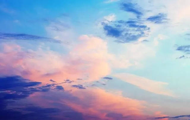 你的怪物 产品图片