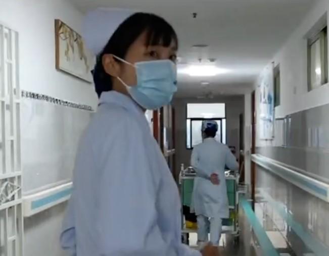 冰川鲨鱼 产品图片