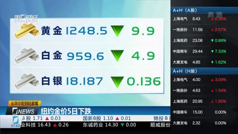 命运之夜 天之杯Ⅱ:迷失之蝶