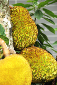 凶宅怪谈2 产品图片