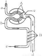 兄弟之北漂歌手 相关产品