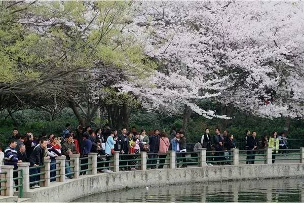 倚天屠龙记之魔教教主（国语版） 产品图片