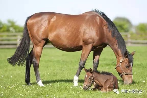 农民院士 产品图片