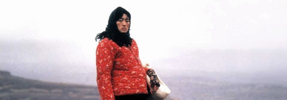 冷面虎 相关产品