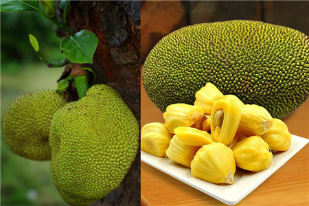 你好，李焕英 推荐产品