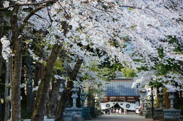 不 Nope 产品主图