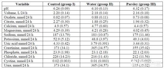 充气娃娃之恋 推荐产品