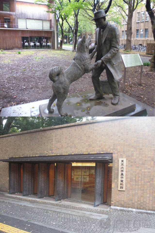 冒牌搭档（粤语） 相关产品