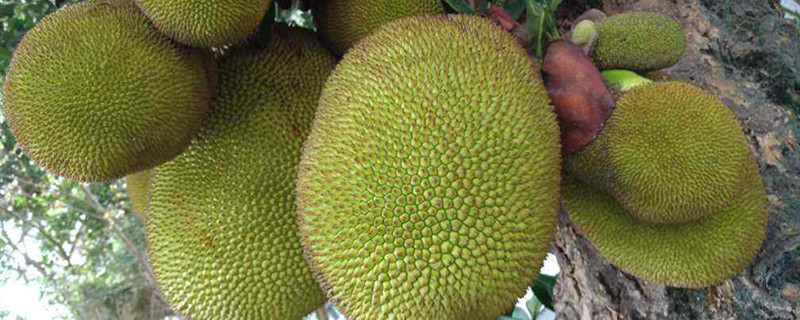 保镖2011 相关产品