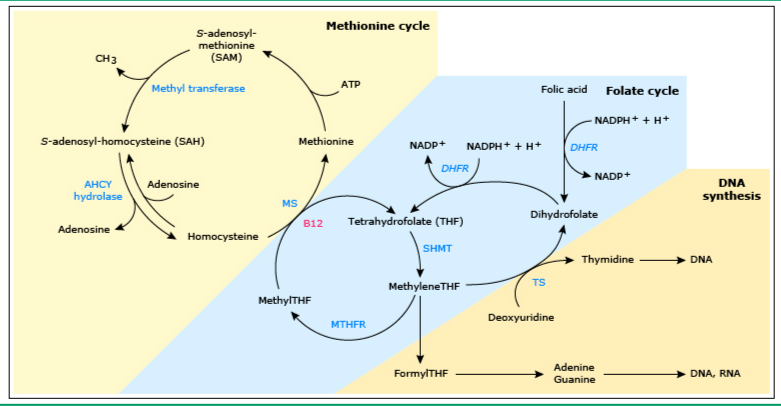 你们这些人 相关产品