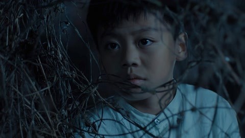 伙头福星 产品图片