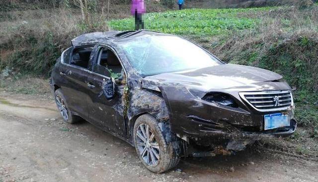 伊甸园计划 产品主图